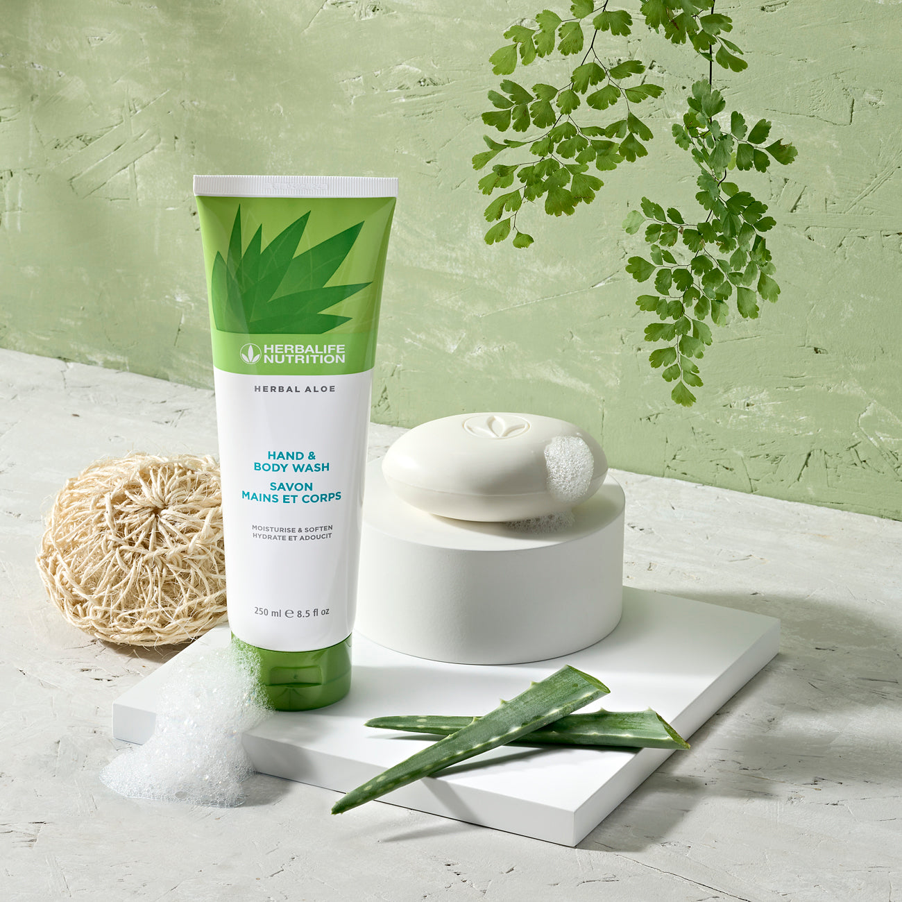Savon Mains & Corps à base d’aloe vera
